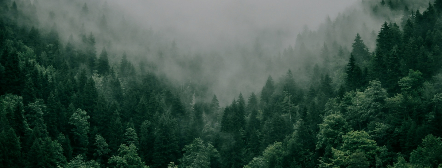 文隐煜行主视觉